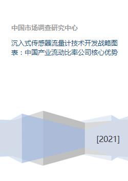 沉入式傳感器流量計技術開發(fā)戰(zhàn)略與中國產(chǎn)業(yè)流動比率公司核心優(yōu)勢分析
