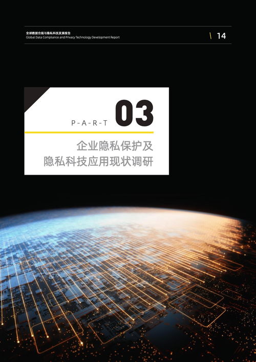 安永賽博研究院2022全球數(shù)據(jù)合規(guī)與隱私科技發(fā)展報告 技術開發(fā)新趨勢