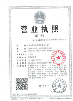 合肥志宸財務管理 一站式工商服務咨詢，助力企業穩健發展
